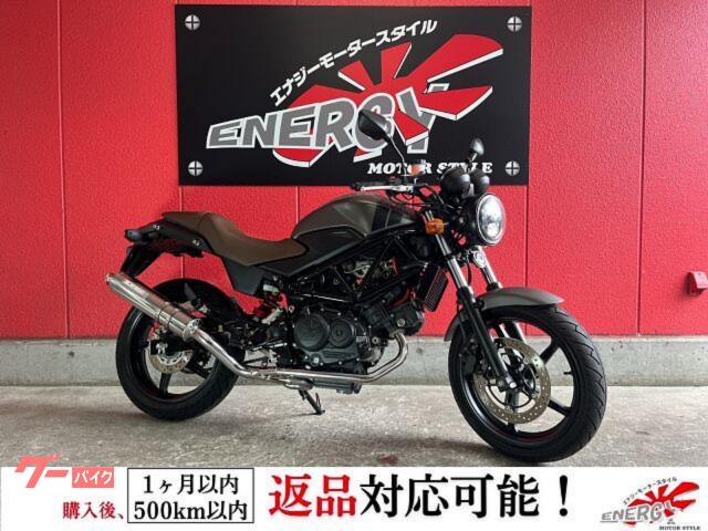 ＶＴＲ２５０