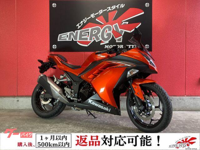 Ｎｉｎｊａ　２５０　２０１６年モデル　マルチバー　ＵＳＢ電源付き　ベビーフェイスエンジンスライダー　スクリーン
