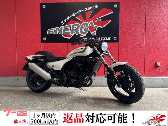 エリミネーター２５０Ｖ　２００１年モデル　キャブレター車　ポーラホワイト　ＵＳＢ電源　社外スリップオンマフラー