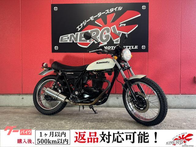 ２５０ＴＲ　２００７年モデル　社外マフラー　フェンダーレス　社外グリップ　スペアキー　純正ヘルメットロック