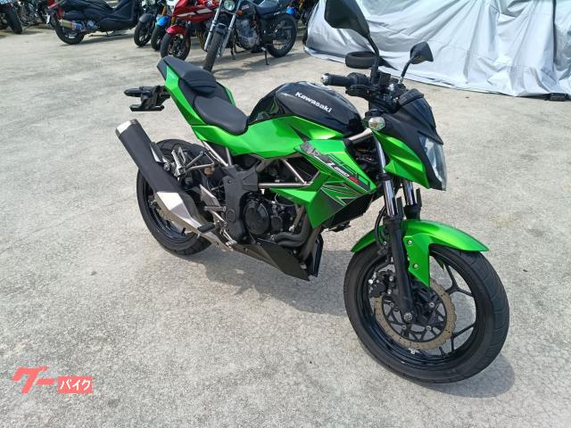 カワサキ Z250SL 2016年 BR250E型 フュ－エル