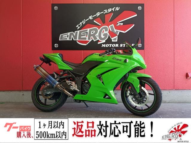 Ｎｉｎｊａ　２５０Ｒ　２００８年モデル　ワイバンスリップオンマフラー　シングルシート　バックステップ　社外セパハン