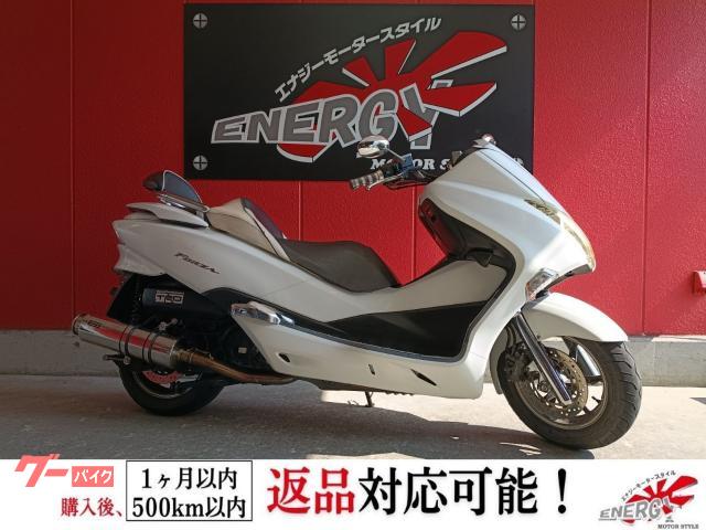フォルツァ・Z 2008年モデル