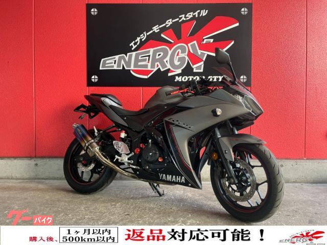 YZF−R25 2016年モデル ETC車載器搭載 カスタムレバー ドミノグリップ WR’sマフラー装着 スマホホルダー付き