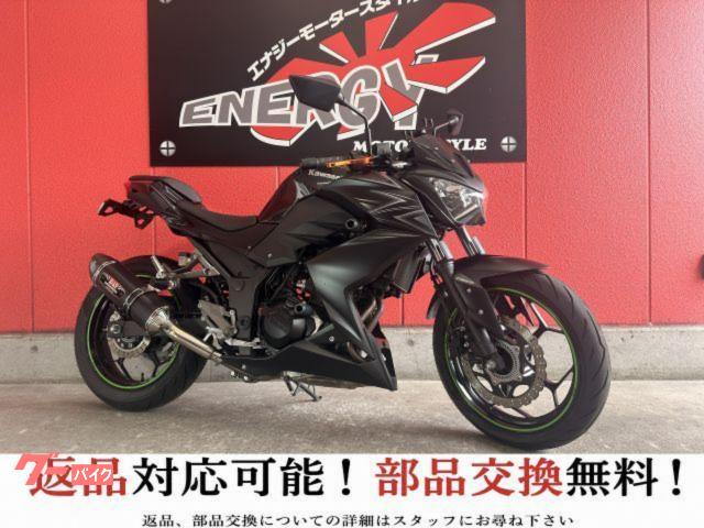 Ｚ２５０　２０１６年
