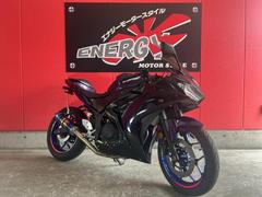 ヤマハ　ＹＺＦ−Ｒ２５　ＲＧ１０Ｊ型　２０１６年式　オールペン　ＢＥＡＭＳマフラー　社外ウィンカー　スクリーン　フェンダーレス　レバー