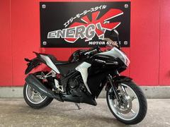 ＣＢＲ２５０Ｒ(ホンダ) 走行距離15000～20000kmのバイク一覧(2ページ目)｜新車・中古バイクなら【グーバイク】