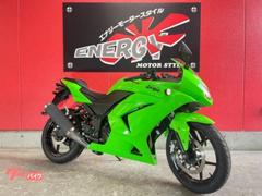 カワサキ　Ｎｉｎｊａ　２５０Ｒ　水冷４ストローク並列２気筒／ＤＯＨＣ４バルブ　インジェクション　ライムグリーン　２０１２年モデル