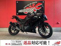 カワサキ　Ｎｉｎｊａ　２５０Ｒ　２０１０年モデル　インジェクション車　フェンダーレスキット　ＬＥＤヘッドライト　ヘビーウェイトバーエンド