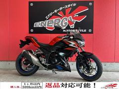 カワサキ　Ｚ２５０　２０１４年モデル　ＥＴＣ車載器付き　ＭＲＡスクリーン　スマホホルダー　スペアキー