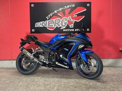 カワサキ　Ｎｉｎｊａ　２５０
