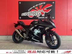 カワサキ　Ｎｉｎｊａ　２５０　２０１７年モデル　コニカルＧＰサイレンサー　スマホホルダー　タンクパッド　リムステッカー