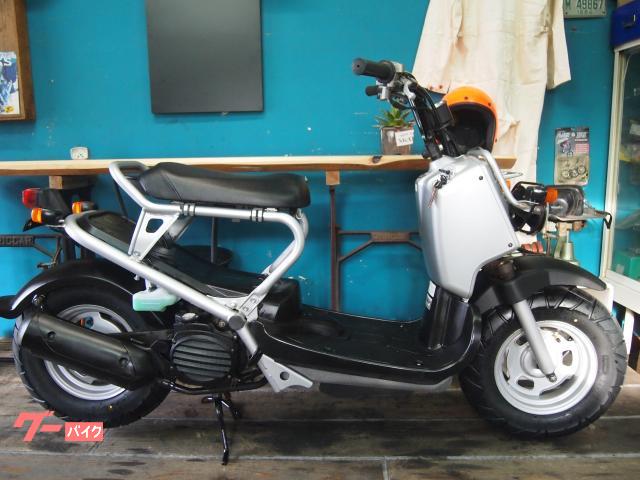 鹿児島発 ホンダ ズーマー - オートバイ車体