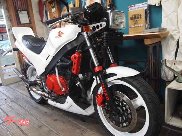 ホンダ VTZ250 CBR仕様 1987年モデル オールペン