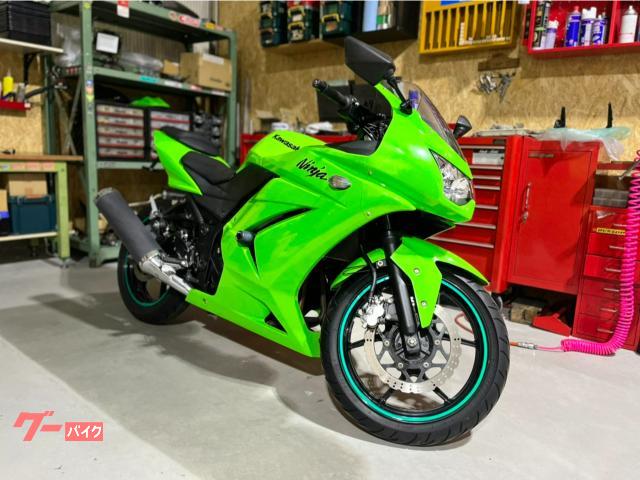 カワサキ Ｎｉｎｊａ ２５０Ｒ ２０１２年モデル フェンダーレス 