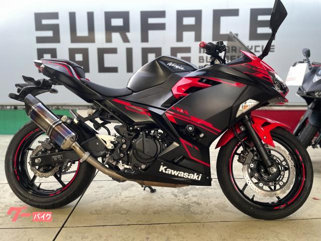 Ｎｉｎｊａ　２５０　ストライカーマフラー　ゼログラビティ製スモークスクリーン　エンジンスライダー　純正スペアキー付属