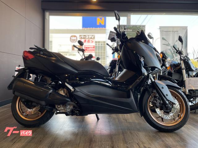 Ｘ−ＭＡＸ２５０　フルノーマル車両