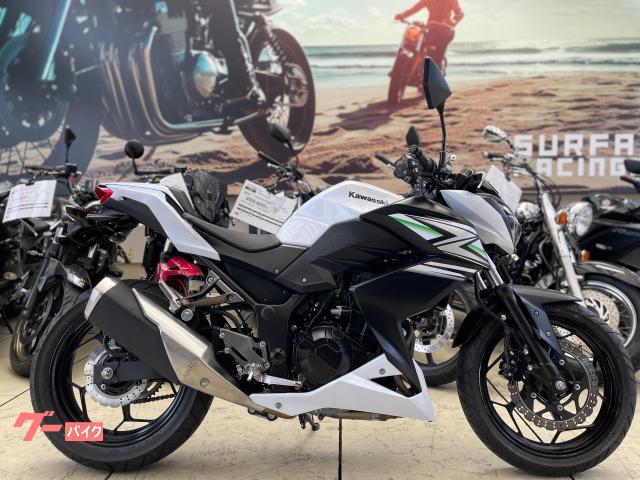Ｚ２５０　ＥＴＣ　ノーマル車両　シングルシートカウル