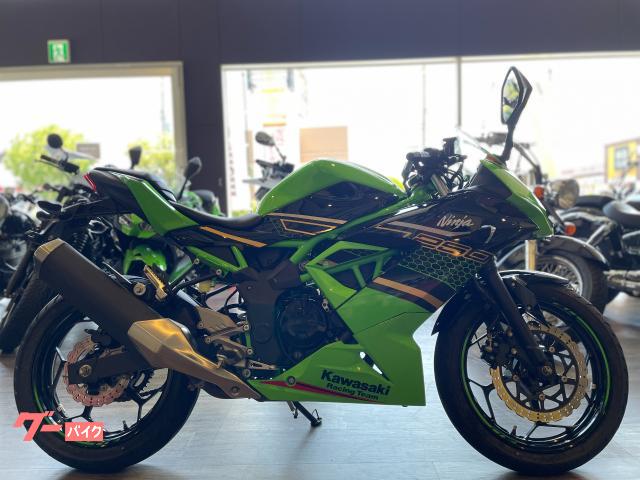 Ｎｉｎｊａ　２５０ＳＬ　ＫＲＴカラー　フルノーマル車両　マルチバー