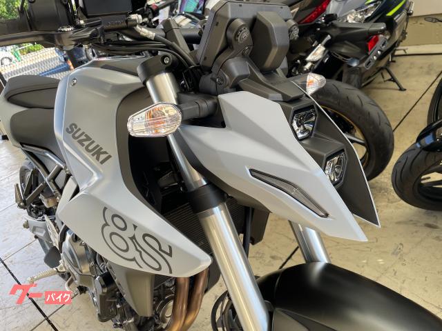 スズキ GSX－8S グラスマットメカニカルグレー ETC フル