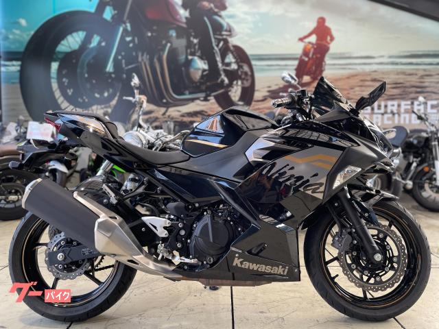 Ｎｉｎｊａ　４００　ブラック　ノーマル車両　カスタムミラー　スモークスクリーン　純正スペアキー付属