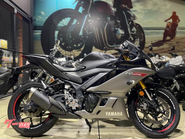 ＹＺＦ−Ｒ２５　マットブラック　ＡＢＳモデル　ノーマル車両　アジャスタブルレバー