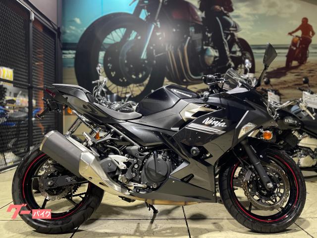 Ｎｉｎｊａ　２５０　フェンダーレス　エンジンスライダー　純正スペアキー付属