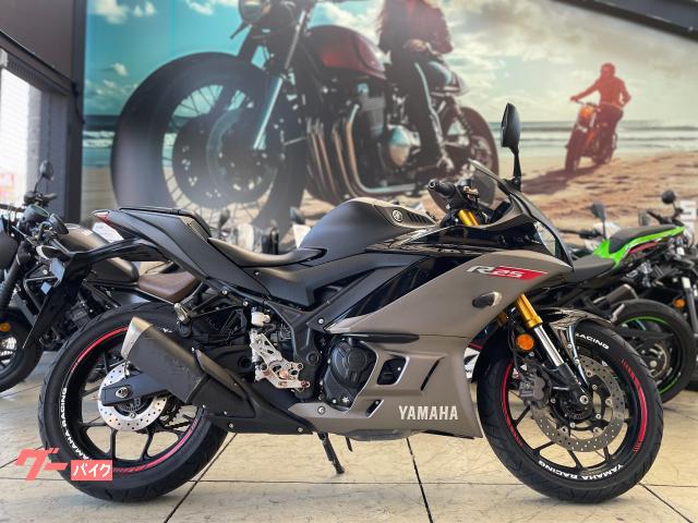 ＹＺＦ−Ｒ２５　マットブラック　バックステップ　アジャスタブルレバー