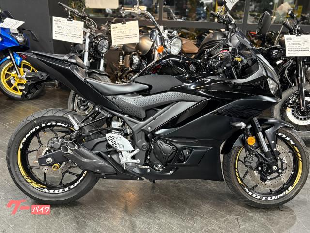 ＹＺＦ−Ｒ２５　マットブラック　プラナスマフラー　フェンダーレス　アジャスタブルレバー　マルチバー　純正スペアキー付属
