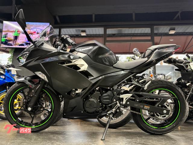 カワサキ Ninja 250 ブラック エンジンスライダー 別体式