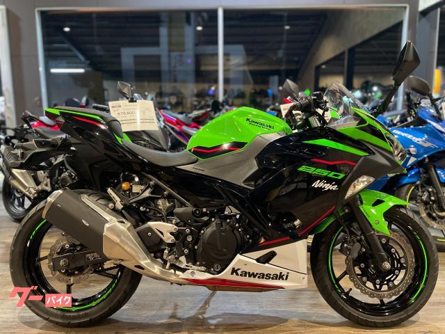 Ｎｉｎｊａ　２５０　ＫＲＴエディション　ノーマル車両　マルチバー