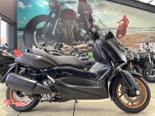 Ｘ−ＭＡＸ２５０　マットダークグレーメタリック　フルノーマル車両