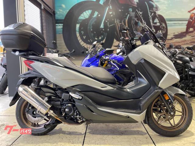 フォルツァ　ＭＦ１７　ＥＴＣ　ＧＩＶＩ製リアボックス　グリップヒーター　マルチバー　アジャスタブルレバー　純正スペアキー付属