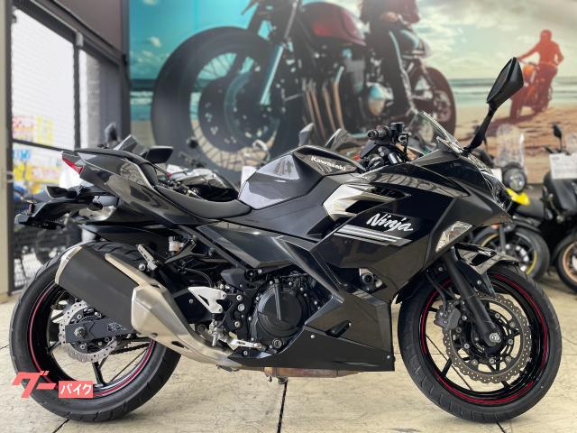 Ｎｉｎｊａ　２５０　ベビーフェイスエンジンスライダー　ノーマル車両