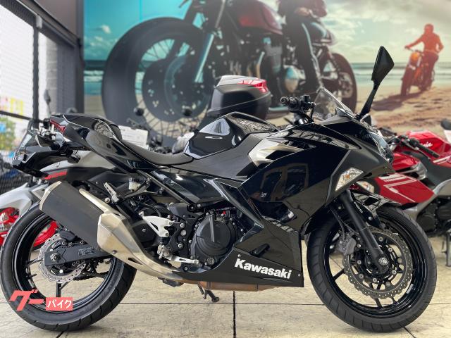 Ｎｉｎｊａ　２５０　ＥＴＣ　フルノーマル車両