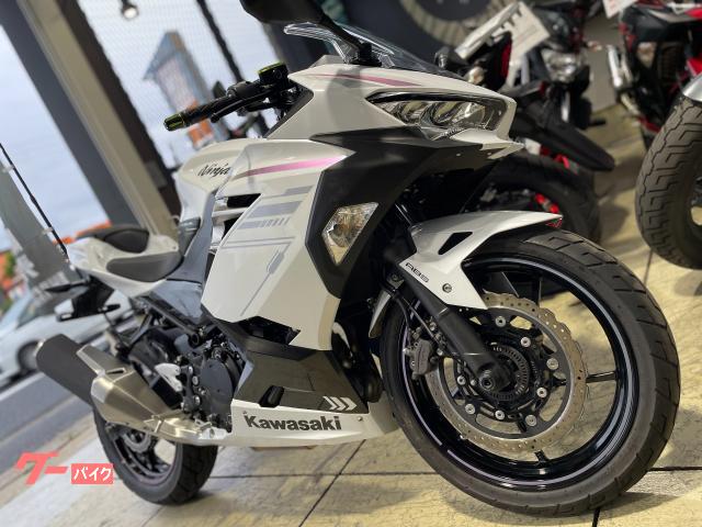 那白様、ご購入用 カワサキ Ninja 400 パールブリザードホワイト フルノーマル