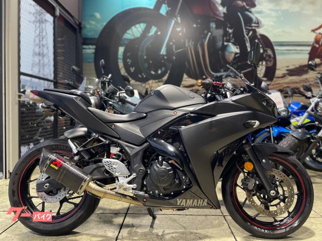 ＹＺＦ−Ｒ２５　アクラポビッチマフラー　ＥＴＣ　フェンダーレス　アジャスタブルレバー　マルチバー　純正スペアキー付属