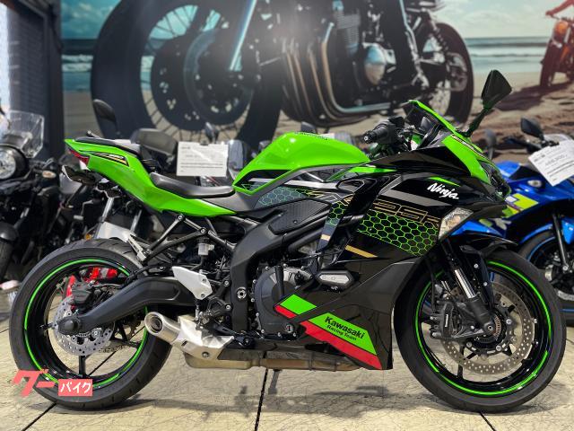 Ｎｉｎｊａ　ＺＸ−２５Ｒ　ＫＲＴエディション　フェンダーレス