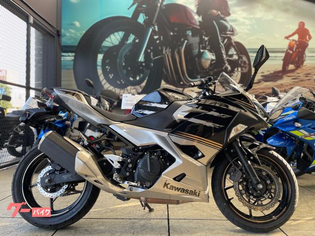 Ｎｉｎｊａ　２５０　ブラック／シルバー　フルノーマル車両　純正スペアキー付属