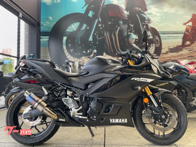 YZF−R25 マットブラック WR’Sマフラー フェンダーレス マルチバー アジャスタブルレバー