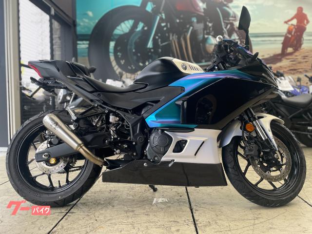 YZF−R25 RG95J型 マジカルレーシング製アンダーカウル ARROWマフラー フェンダーレス 純正スペアキー付属