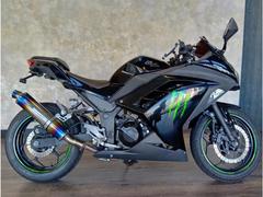 カワサキ　Ｎｉｎｊａ　２５０　ＢＥＡＭＳマフラー　フェンダーレス　エンジンスライダー