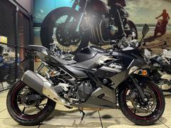 カワサキ　Ｎｉｎｊａ　２５０　フェンダーレス　エンジンスライダー　純正スペアキー付属