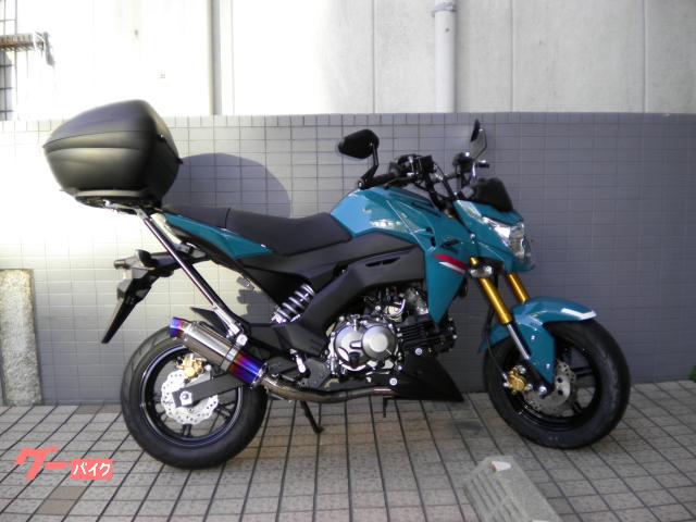 Ｚ１２５ＰＲＯ　カスタマイズ仕様