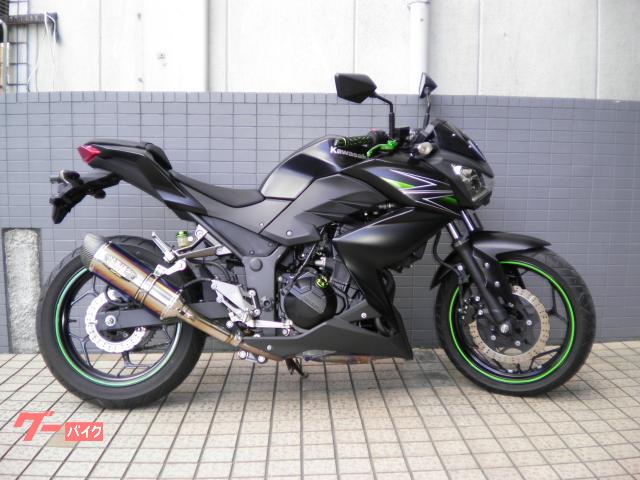 Ｚ２５０　カスタマイズ仕様