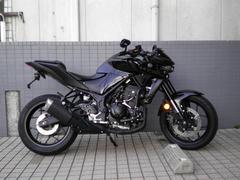 ヤマハ　ＭＴ−２５　カスタマイズ仕様