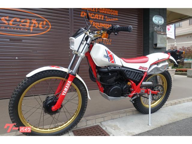 ヤマハ TY250 スコティッシュ WAKOTRY1チャンバー