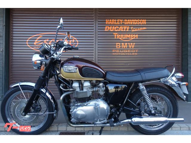 トライアンフ フェンダー TRIUMPH Triumph ハーレー □ビンテージ
