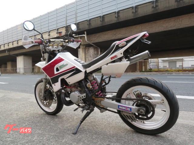 ヤマハ ｄｔ２００ｗｒ ターミネーター仕様 フルカスタム 大阪府 株 植ｍａｔｓｕ バイクギャラリー 極ｊａｐａｎｒａｃｉｎｇ b の中古バイク 新車バイク Goo バイク情報