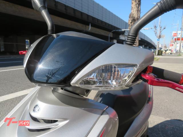 ヤマハ シグナスX SR 1型 キャブ車 純正カラー ライト